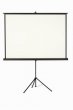 Vettvszon hordozhat 1:1 240x240cm Victoria
