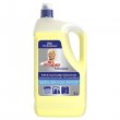 Padl-s fellettisztt 5l Mr.Proper lemon