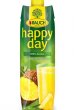 Gyümölcslé 100 1l Rauch Happy day ananász
