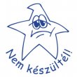 Blyegz motivcis Nem kszltl! Colop N43-kk kk