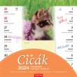 Naptr fali mgneses ktheti Toptimer csaldi tervez cick (2023)