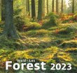 Naptár fali Dayliner Forest (2023)