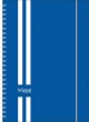Naptár tervező A5 heti Dayliner InSpiral kék-fehér (2024)