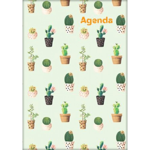 Dayliner Naptár tervező A5 hetiColors Cactus (2026)