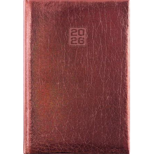 Dayliner Naptár tervező B6 hetiMirror bronz (2026)