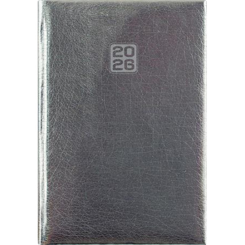 Dayliner Naptár tervező B6 hetiMirror ezüst (2026)