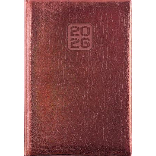 Dayliner Naptár tervező A5 napiMirror bronz (2026)