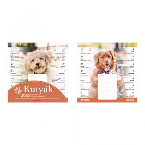 Toptimer Naptár fali mágneses kéthetikutyák (2026)