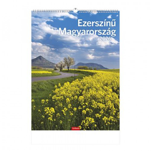 Toptimer Naptár faliEzerszínű Magyarország (2026)