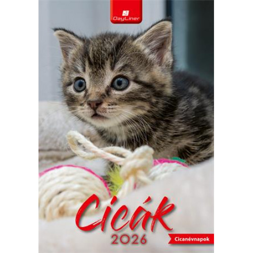 Dayliner Naptár faliCicák (2026)