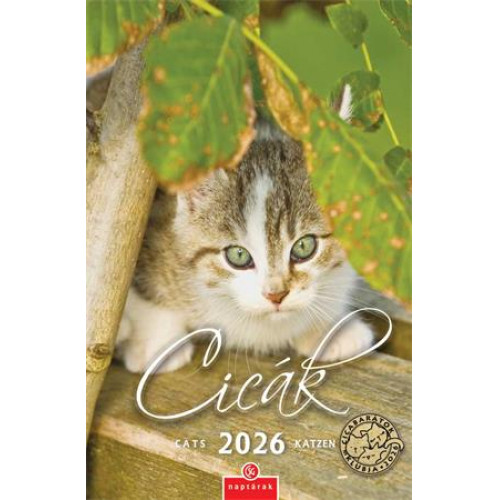 Csg Naptár faliCicák (2026)
