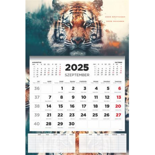 Toptimer Naptár fali diák 2025/2026 tanévTiger