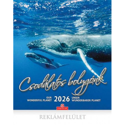 Csg Naptár faliCsodálatos bolygónk (2026)