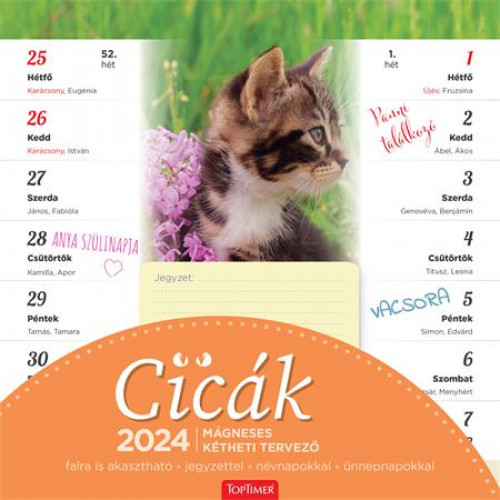 Naptár fali mágneses kétheti Toptimer családi tervező cicák (2024)