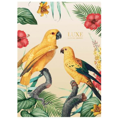 Füzet tűzött vonalas A4 40 lap Shkolyaryk Luxe Nature vegyes