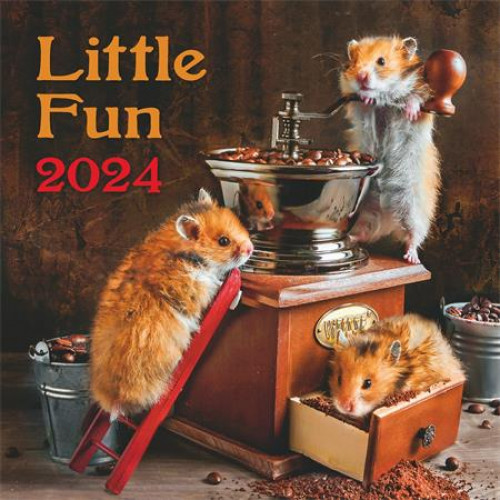 Naptár fali Dayliner Little Fun (2024)