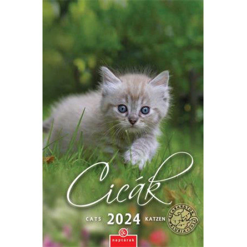 Naptár fali Csg Cicák (2024)