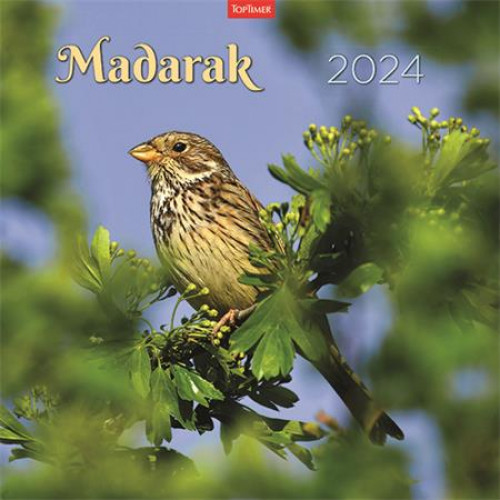 Naptár fali Toptimer Madarak (2024)