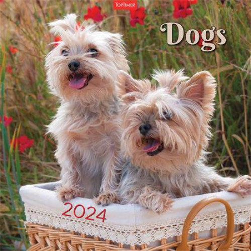 Naptár fali Toptimer Dogs (2024)