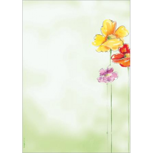 Előnyomott papír A4 90g Sigel Spring Flowers